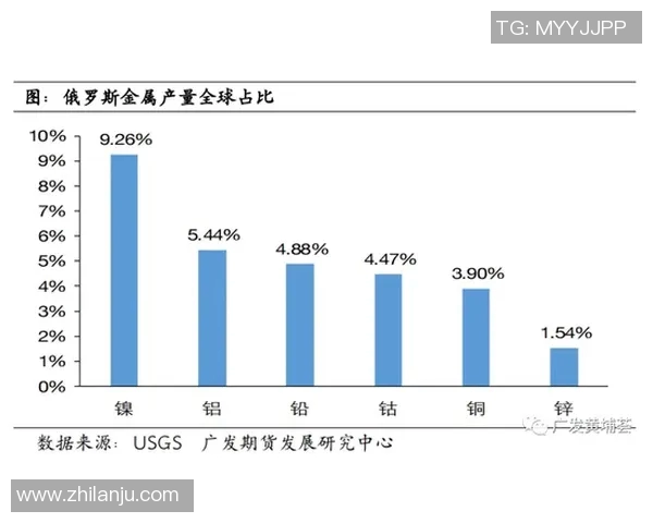欧洲杯单固销量分析及其对市场的影响探讨