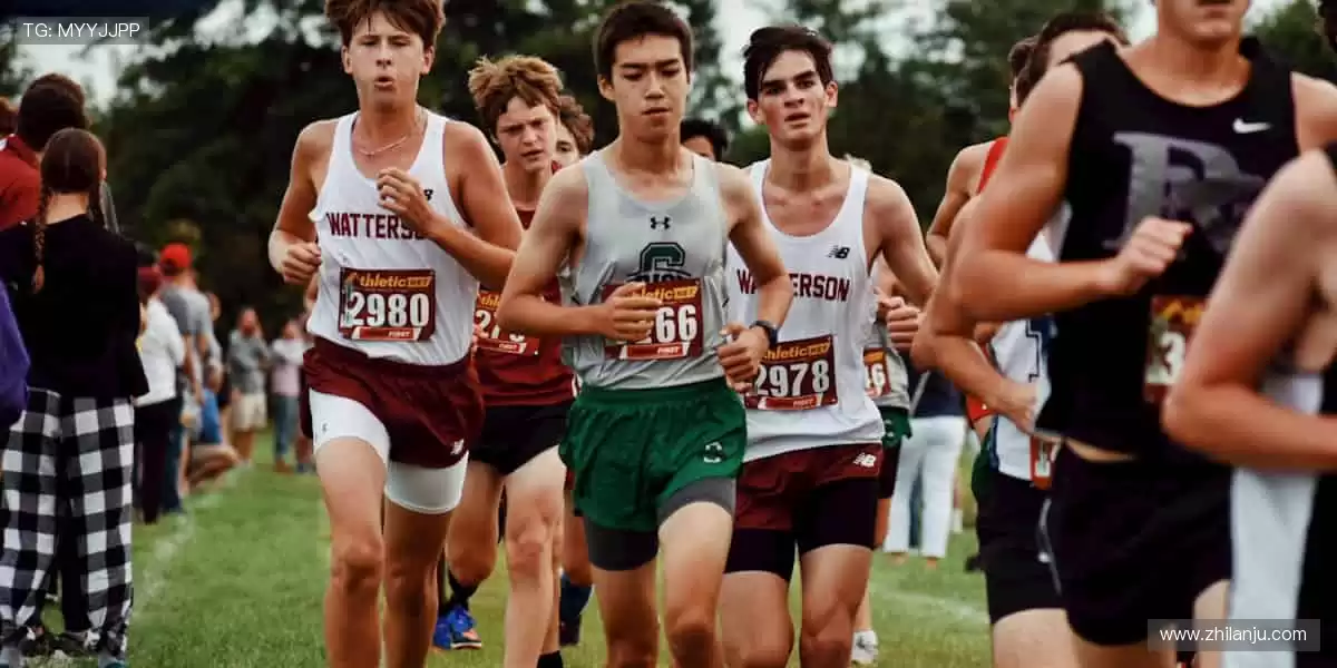 热血赛事，激情碰撞！⚽🏀